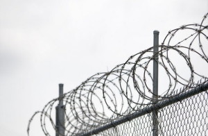 children custody